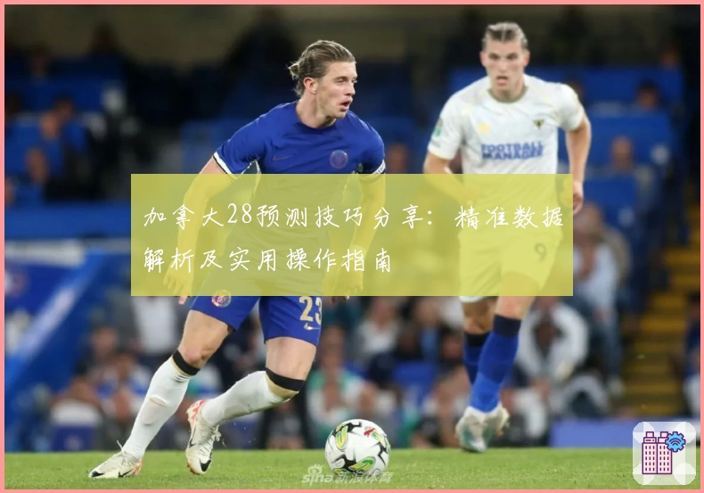 加拿大28预测技巧分享：精准数据解析及实用操作指南