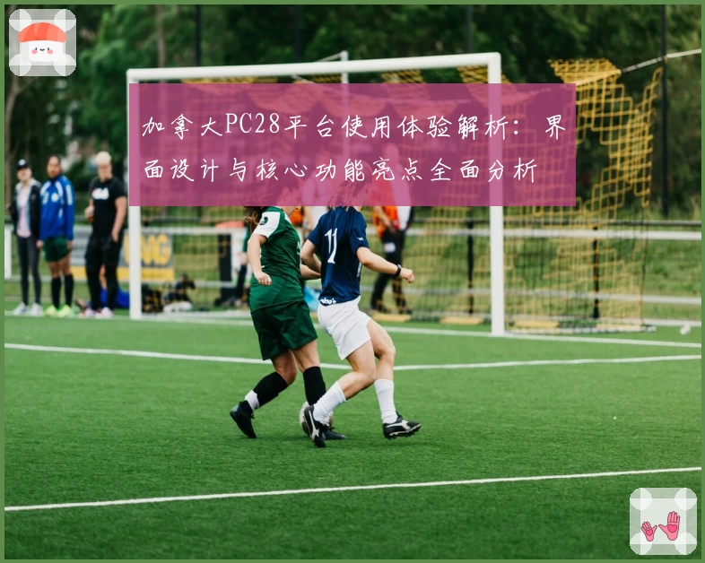 加拿大PC28平台使用体验解析：界面设计与核心功能亮点全面分析