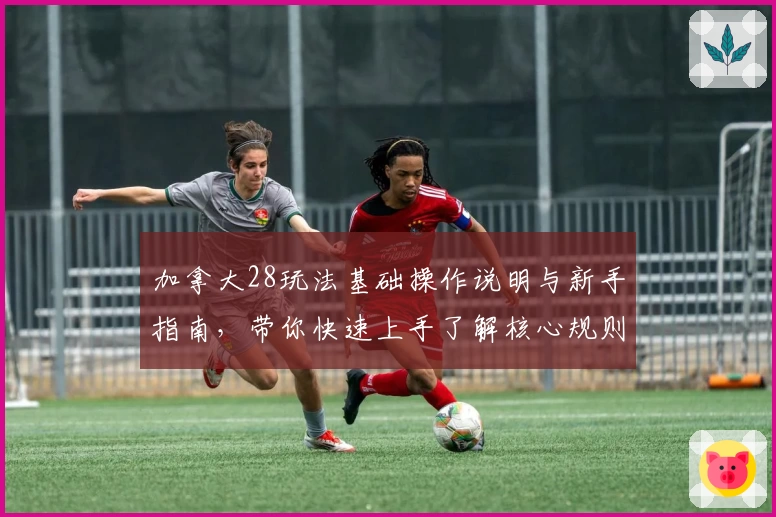 加拿大28玩法基础操作说明与新手指南，带你快速上手了解核心规则与实用技巧
