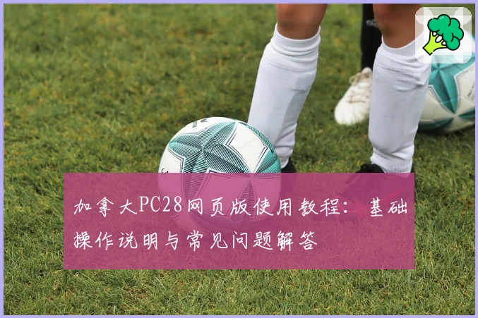 加拿大PC28网页版使用教程：基础操作说明与常见问题解答