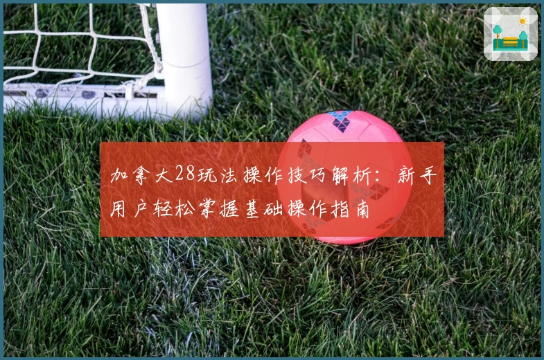 加拿大28玩法操作技巧解析：新手用户轻松掌握基础操作指南