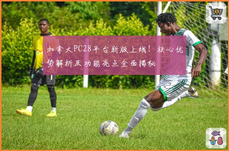 加拿大PC28平台新版上线！核心优势解析及功能亮点全面揭秘