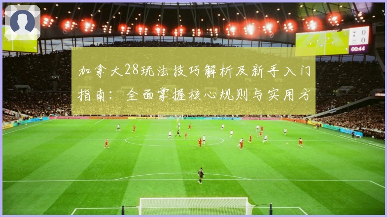 加拿大28玩法技巧解析及新手入门指南：全面掌握核心规则与实用方法