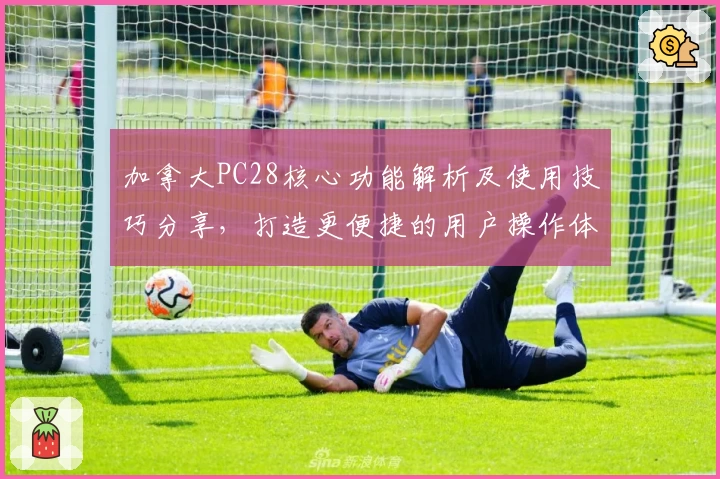 加拿大PC28核心功能解析及使用技巧分享，打造更便捷的用户操作体验