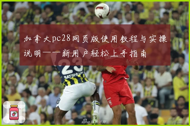 加拿大pc28网页版使用教程与实操说明——新用户轻松上手指南