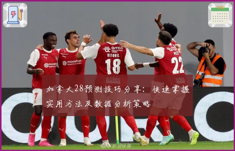 加拿大28预测技巧分享：快速掌握实用方法及数据分析策略