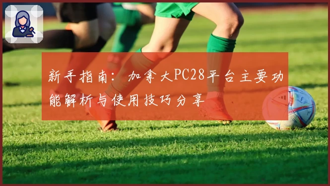 新手指南:加拿大PC28平台主要功能解析与使用技巧分享