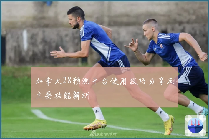 加拿大28预测平台使用技巧分享及主要功能解析
