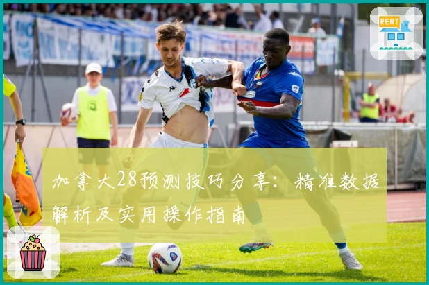 加拿大28预测技巧分享：精准数据解析及实用操作指南