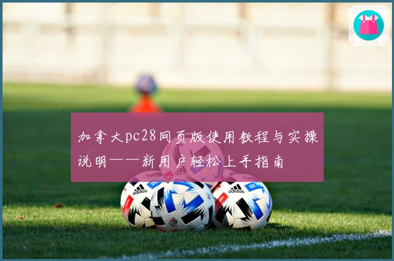 加拿大pc28网页版使用教程与实操说明——新用户轻松上手指南