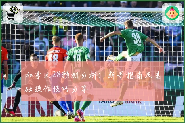 加拿大28预测分析:新手指南及基础操作技巧分享