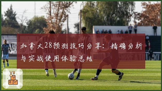 加拿大28预测技巧分享：精确分析与实战使用体验总结