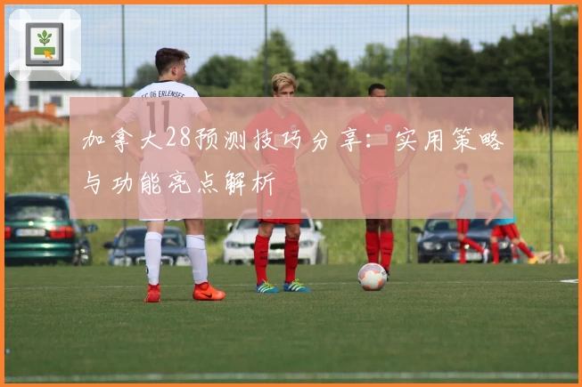 加拿大28预测技巧分享：实用策略与功能亮点解析